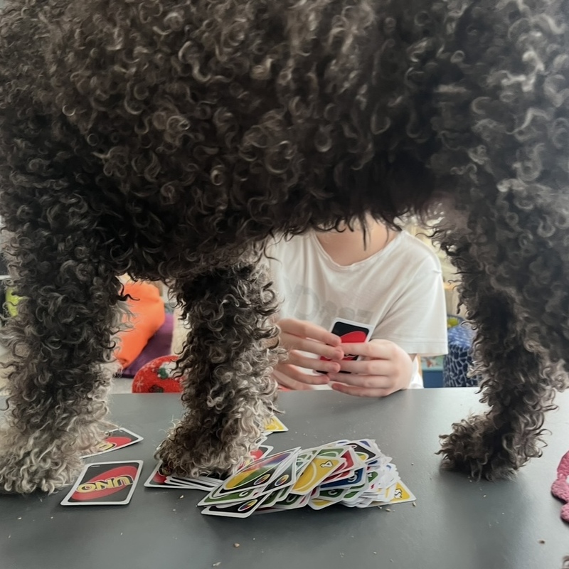 Utu pöydällä Uno-pelissä.